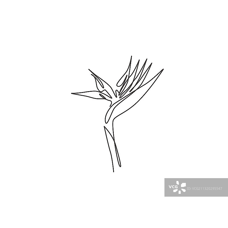 清新美女单线连续绘图图片素材