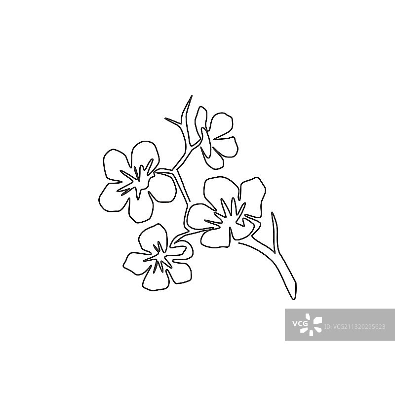 单线绘画美妆新鲜樱桃图片素材