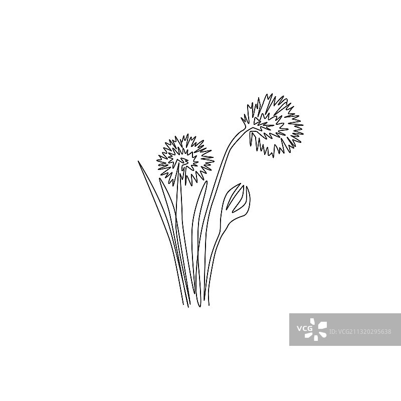 美丽新鲜的葱单线画图片素材
