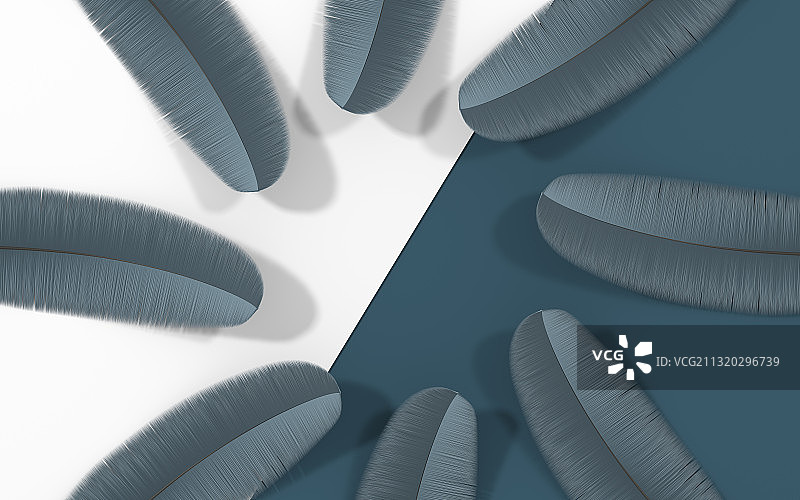 创意羽毛背景 3D渲染图片素材