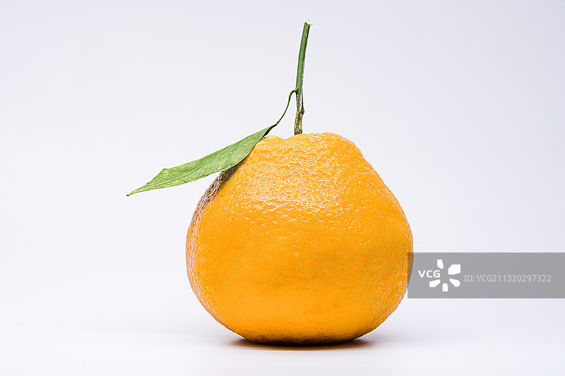 粑粑柑图片素材