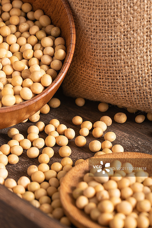 黄豆图片素材
