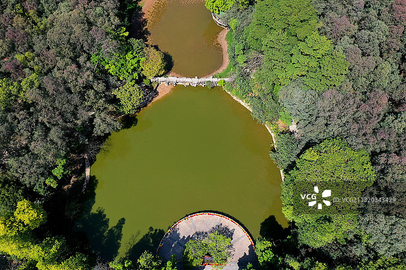 广东省东莞市东城榴花文化旅游区榴花公园航拍图片素材