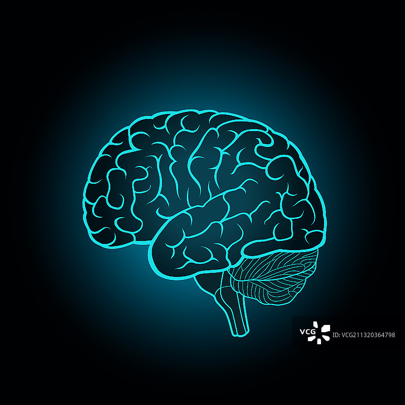 深蓝色背景上的人脑示意图图片素材