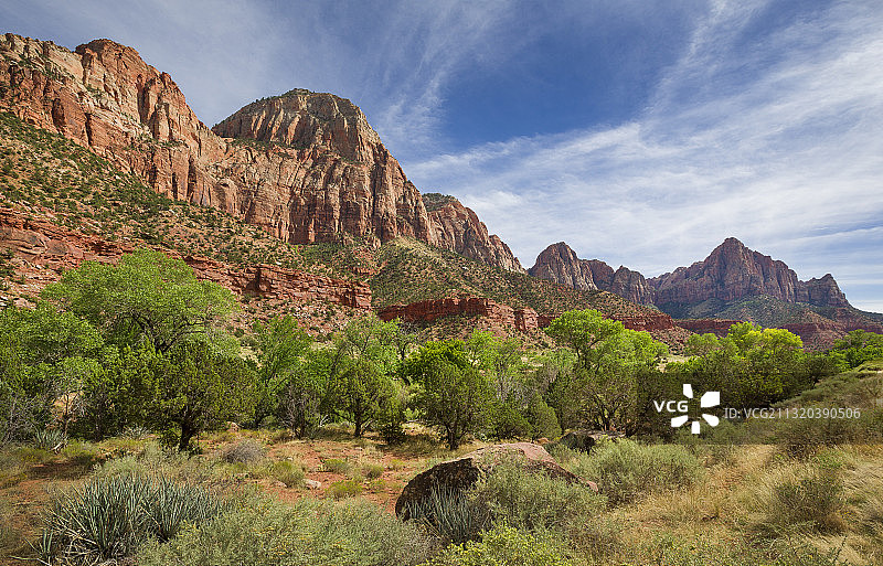 美国锡安国家公园的红色山脉与绿色植被图片素材