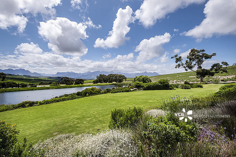 南非开普酒乡斯泰伦博斯约旦葡萄酒庄园图片素材