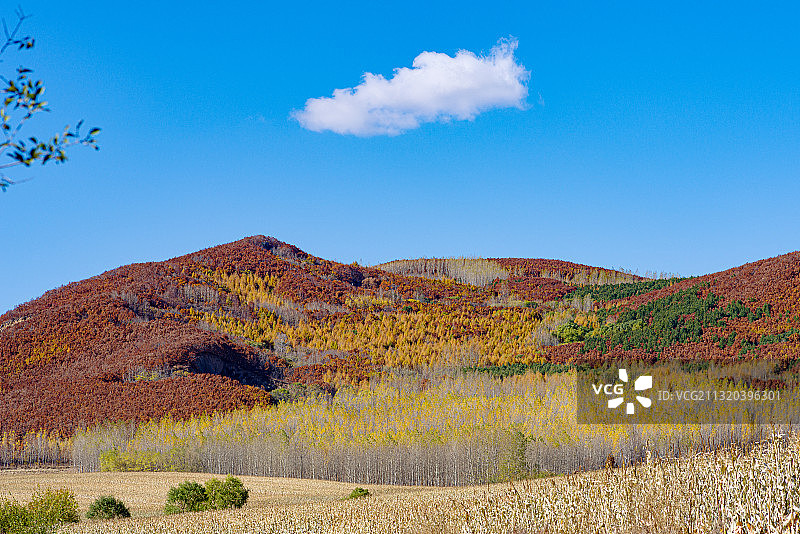 五花山图片素材