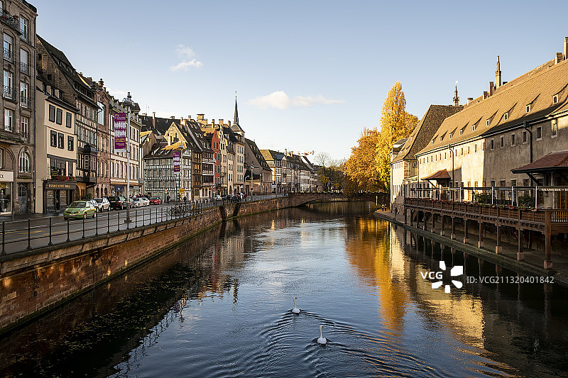 法国斯特拉斯堡小法兰西运河景色，秋日阳光下有两只天鹅图片素材