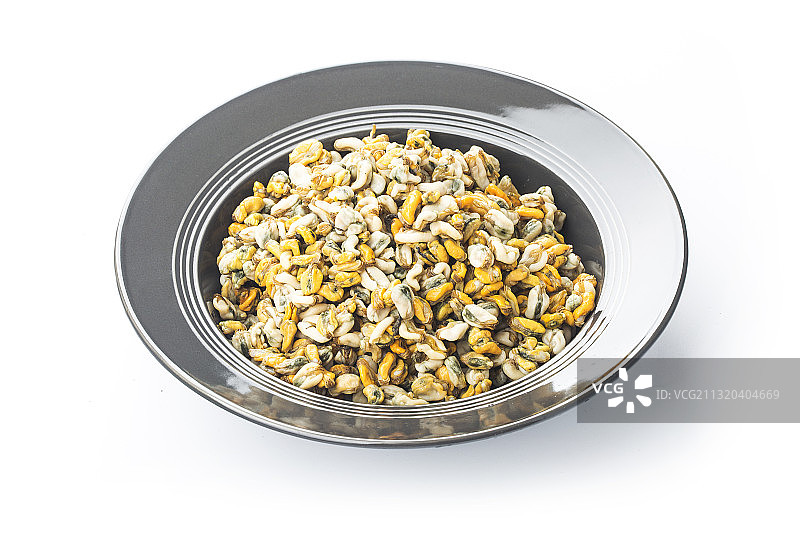 寻氏肌蛤图片素材