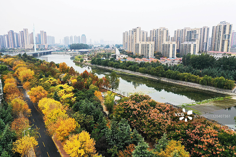 山东枣庄滕州市城区秋景美图片素材