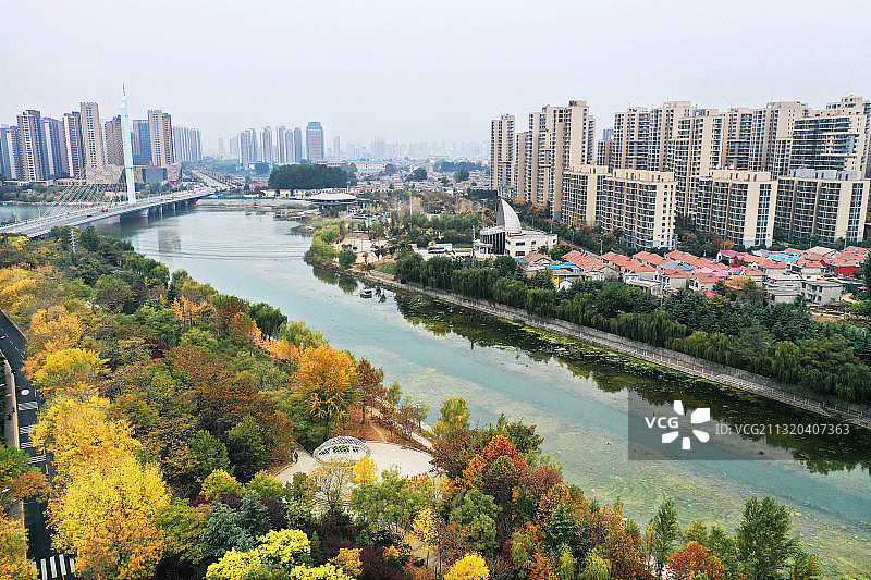 山东枣庄滕州市城区秋景美图片素材