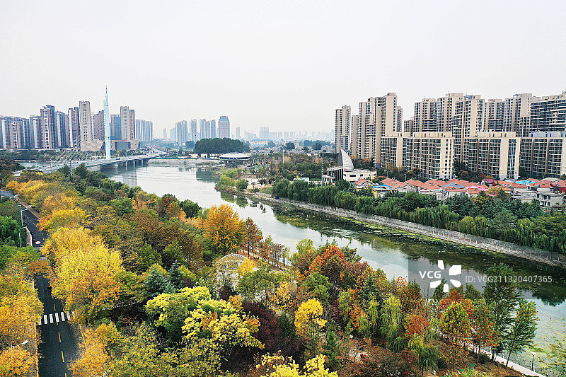 山东枣庄滕州市城区秋景美图片素材