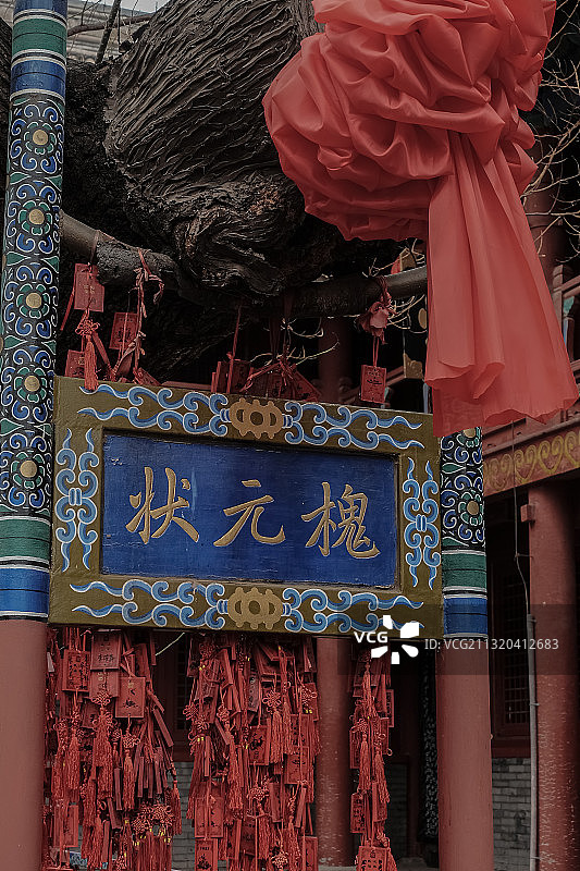 状元槐祈福图片素材