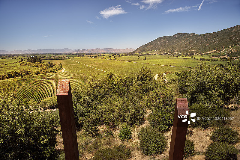 智利科尔查瓜山谷拉博丝特酒庄葡萄酒产区图片素材