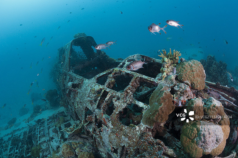 新爱尔兰日本凯特轰炸机残骸图片素材