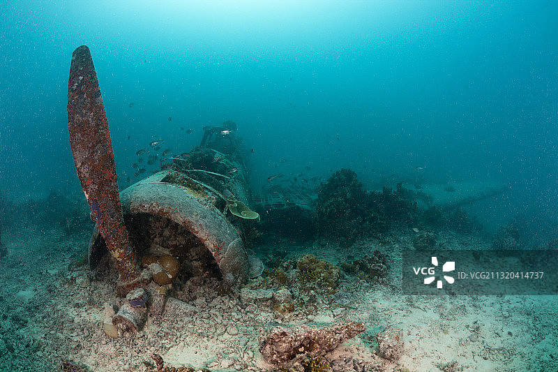新爱尔兰日本凯特轰炸机残骸图片素材