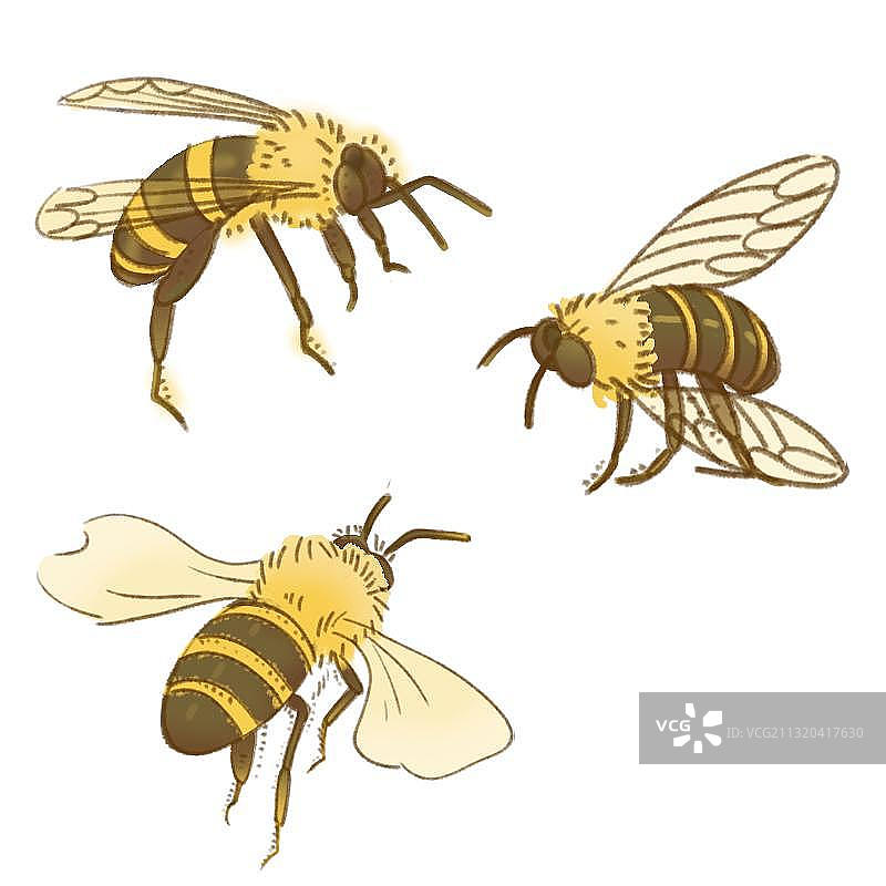 简单蜜蜂绘画元素图片素材