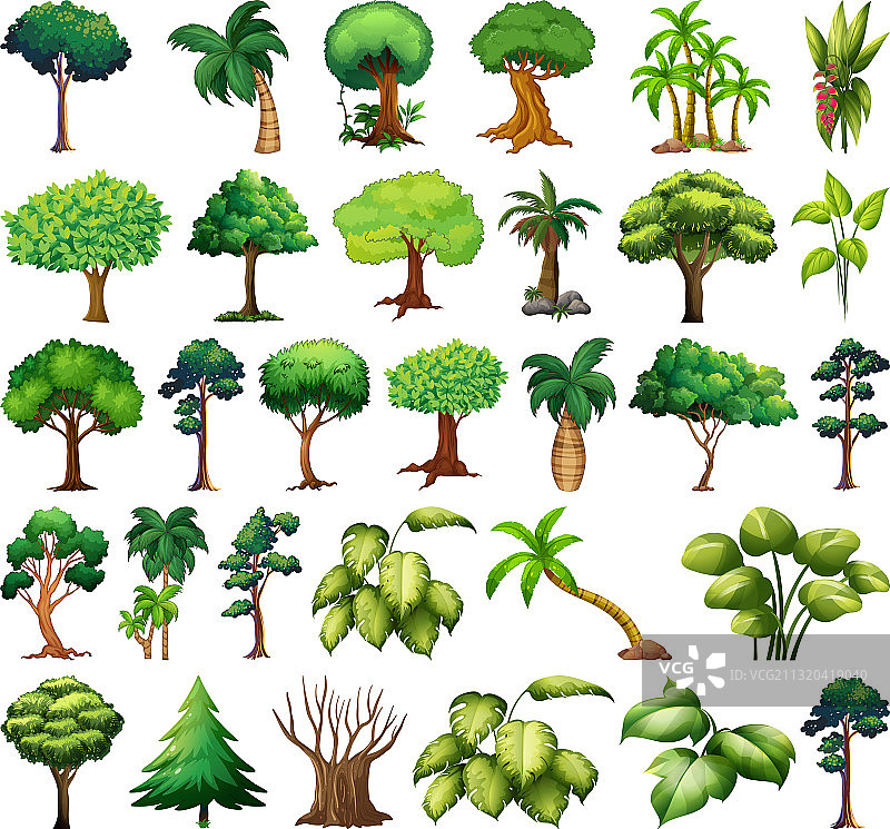 植物和树木组合图片素材