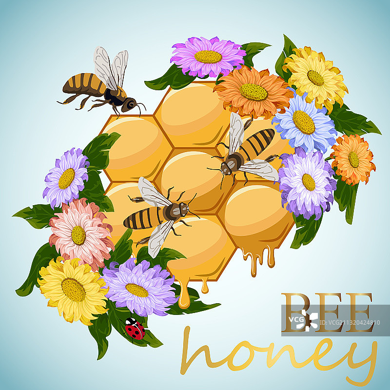 文字和蜂窝图片素材