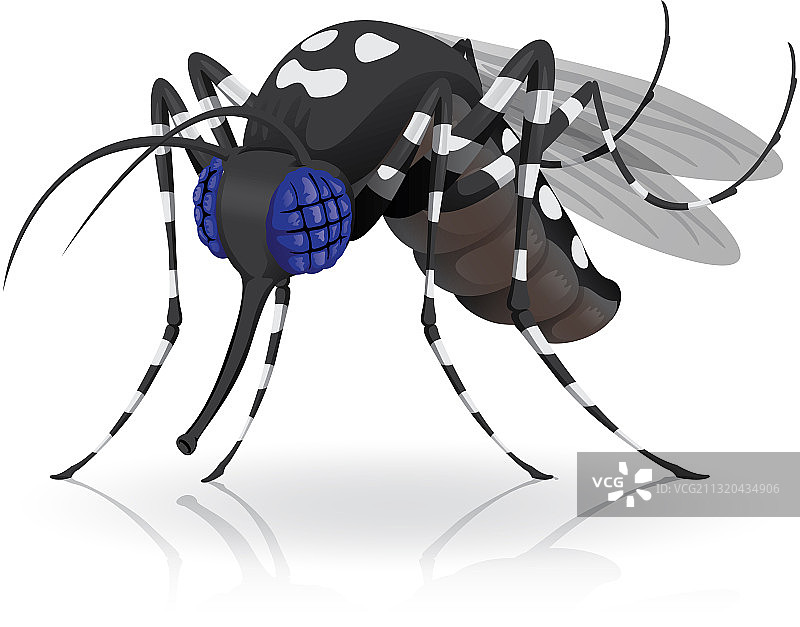 埃及伊蚊吉祥物图片素材