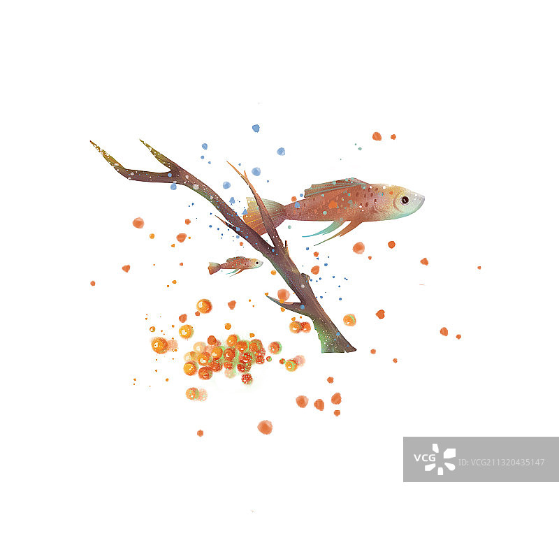 童话-水下的鱼图片素材