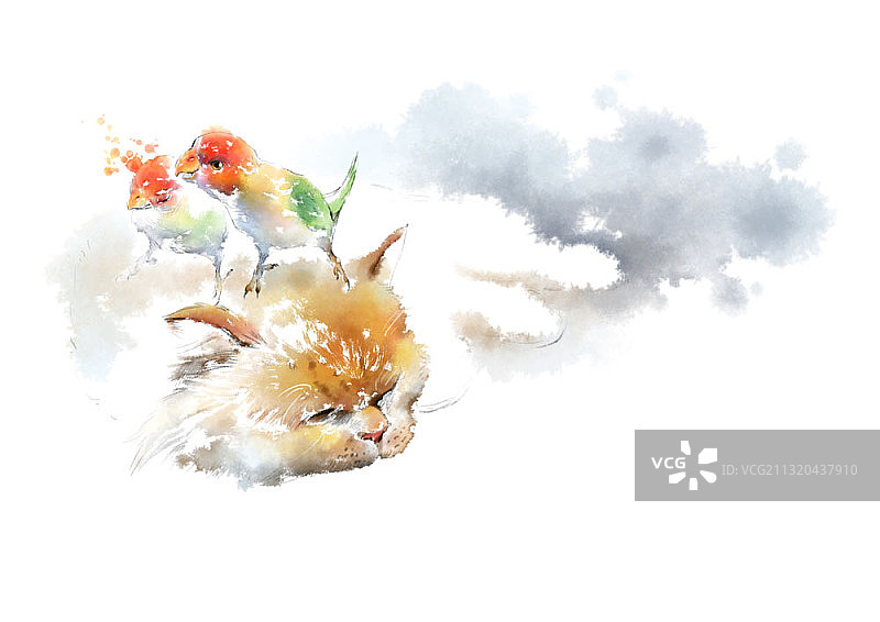 水墨画：双鹦鹉立于猫头图片素材