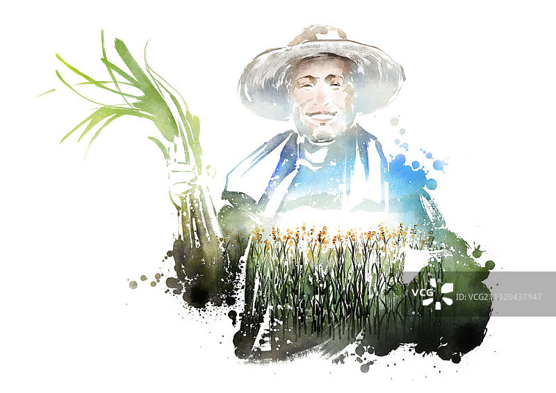 水墨画：农民手持葱与田野图片素材