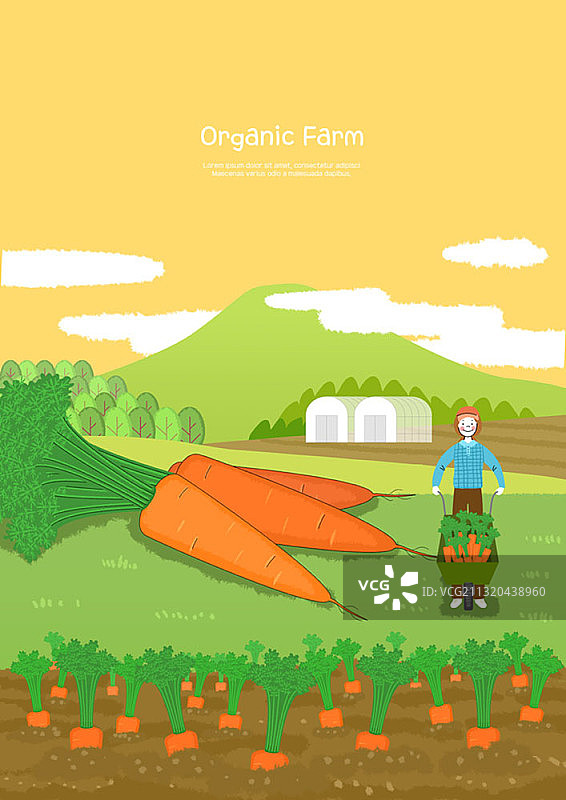 农民在胡萝卜田上手推车的有机农场主题插画图片素材