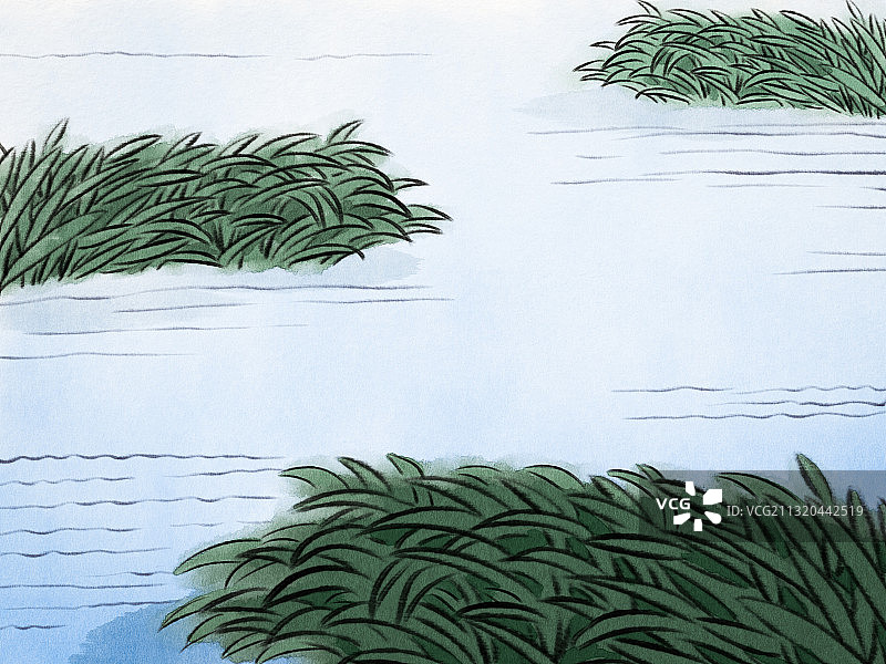 回忆里的芦苇荡图片素材