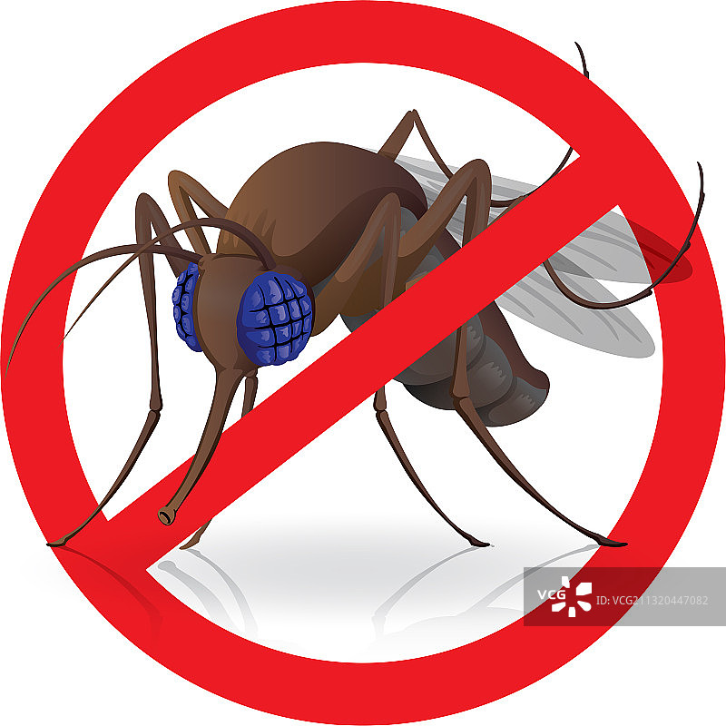 长脚蚊子飞过禁止标志图片素材