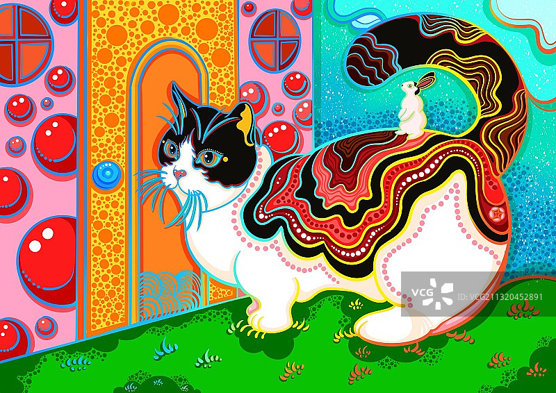 小猫咪的询问：有人在吗？图片素材