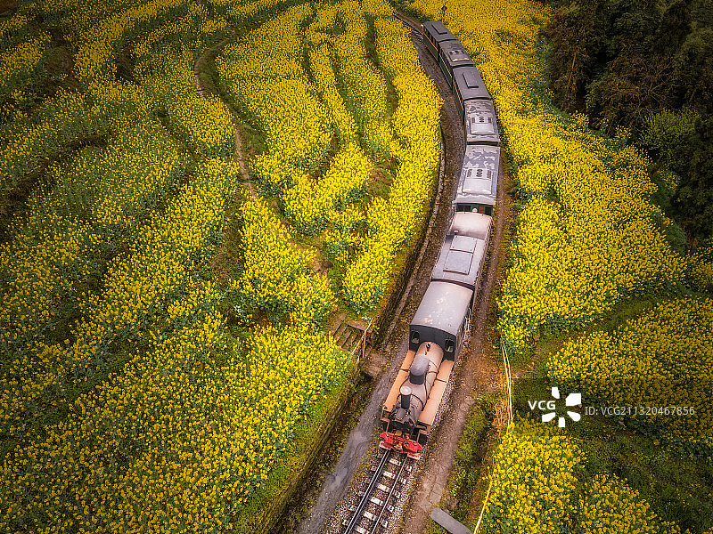 四川小众旅游打卡地乐山犍为嘉阳小火车油菜花田图片素材