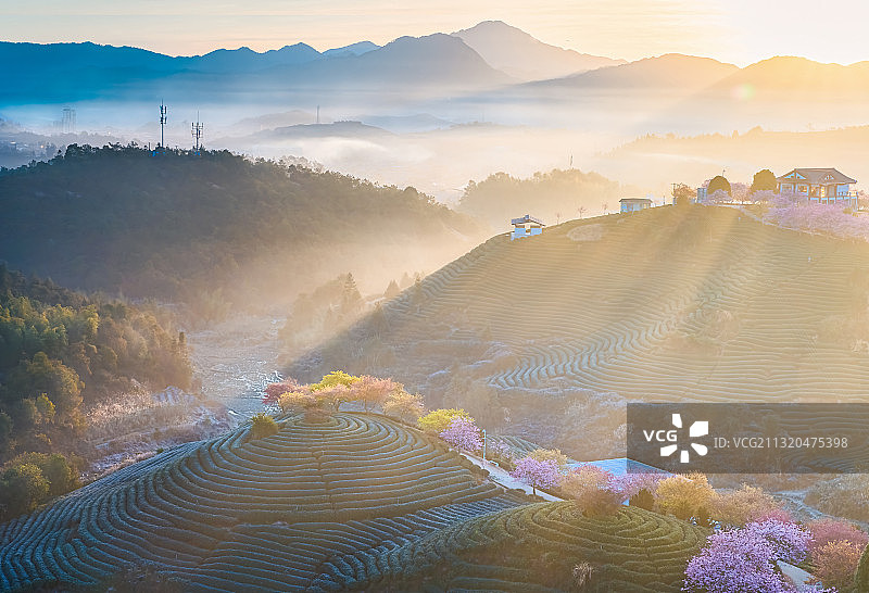 永福樱花园的日出图片素材
