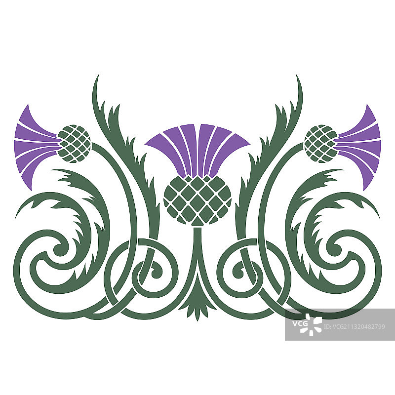 蓟叶和花朵设计图片素材