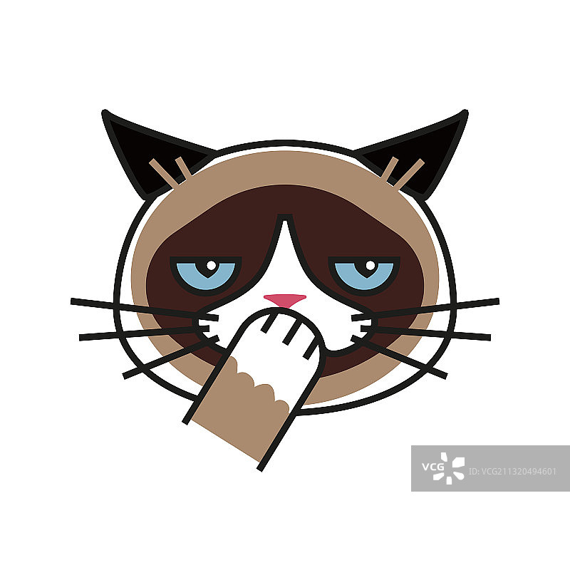 害羞的暴躁猫表情包，白色背景图片素材