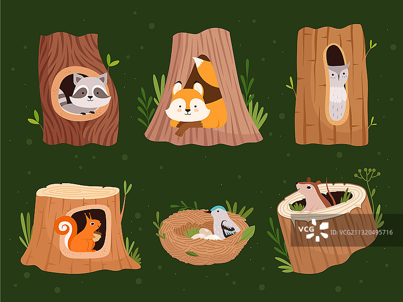 带孔的动物空心森林树木图片素材