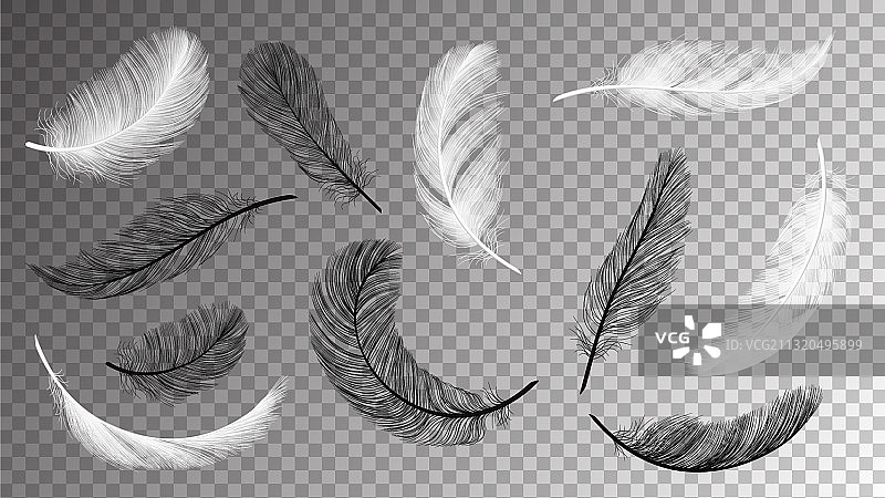 黑色白色飘落的羽毛素材图片素材