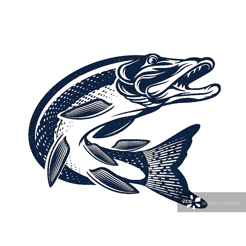 复古梭鱼鱼类logo钓鱼图片素材