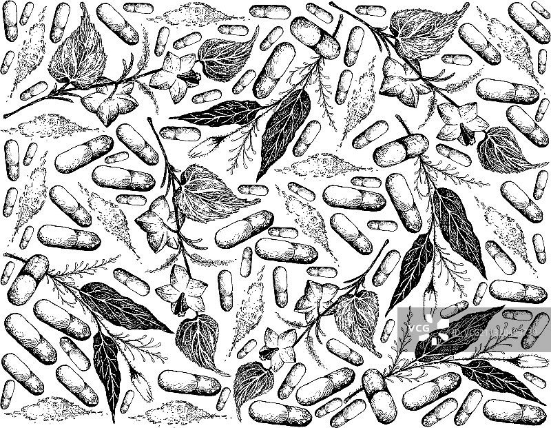 手绘背景：卡里亚特和萨查花生图片素材