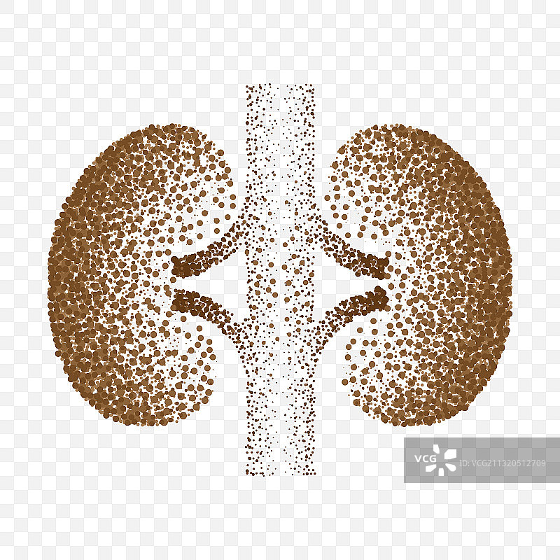 人体肾脏点状轮廓背景图片素材