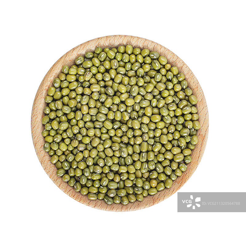 绿豆图片素材