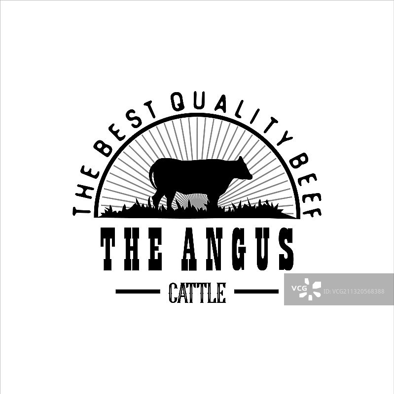 166 动物图片素材