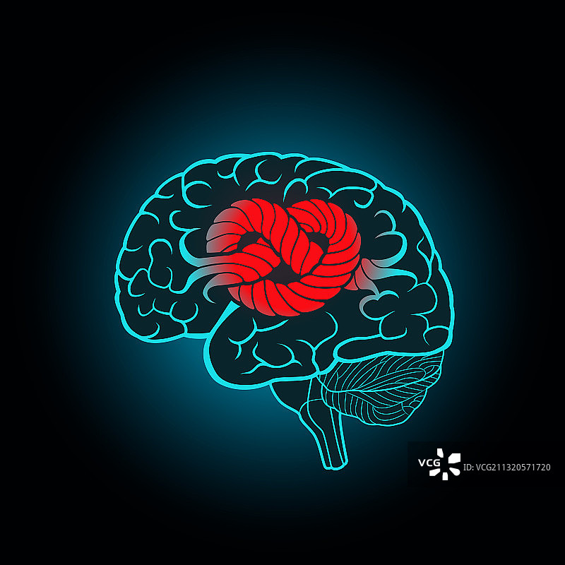 与结相关联的脑回图片素材