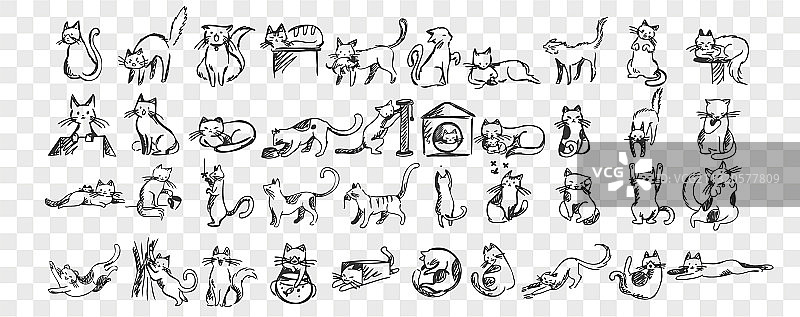 猫涂鸦合集图片素材