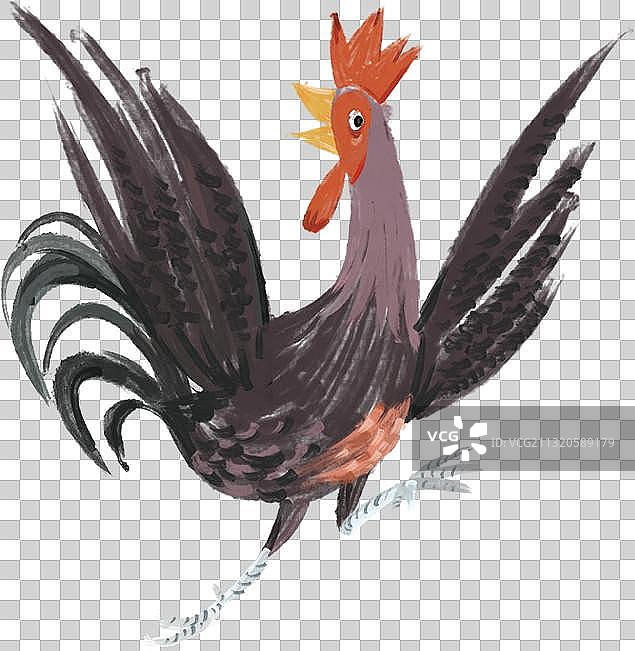 小公鸡图片素材