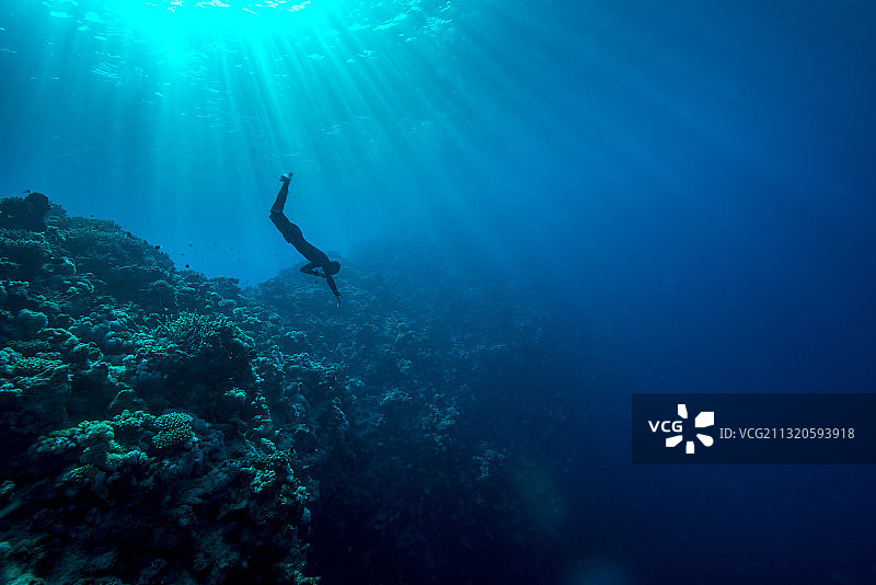在达哈卜蓝洞潜水图片素材