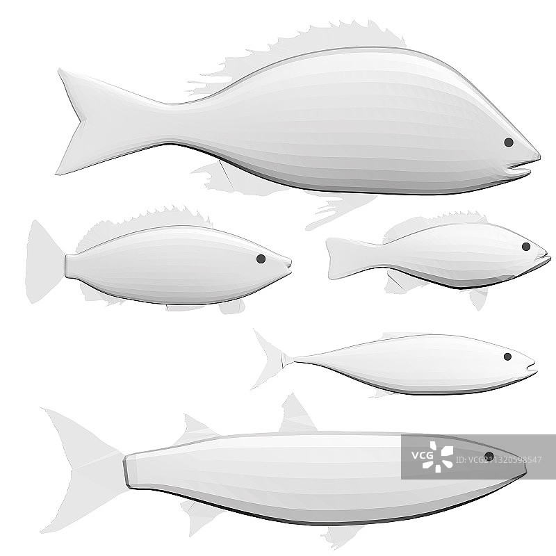 多边形鱼类集合图片素材
