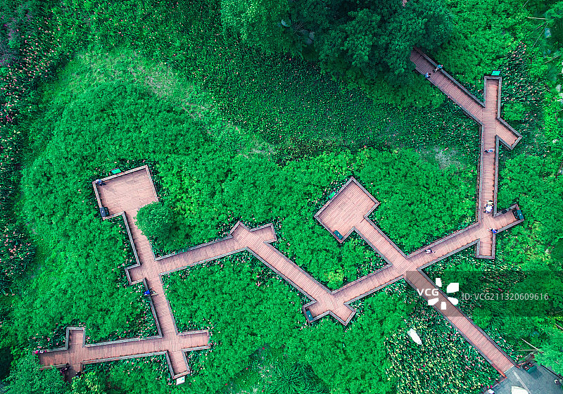 新都 桂湖 宝光寺 西南石油大学 城市天际线 三河场 新都一图片素材