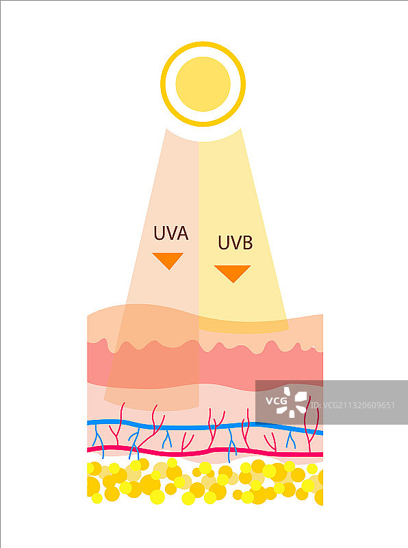 扁平风格紫外线UVB和UVA辐射图片素材