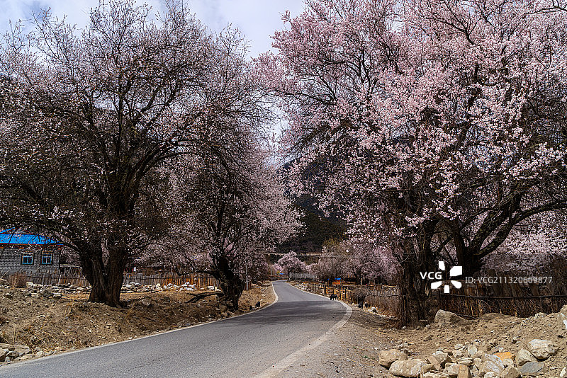 桃花沟图片素材